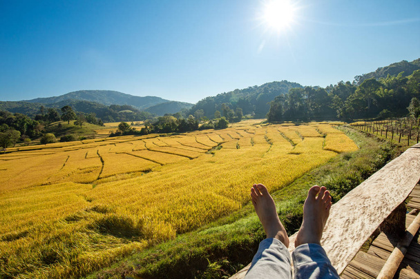 Kaunis maisema näkymä kultainen riisi terassit kentät ja talo Kypsä paddy riisi Thaimaassa
 - Valokuva, kuva