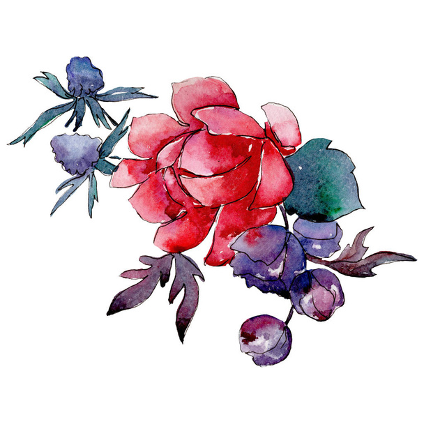 Red flower. Isolated flower illustration element. Background illustration set. Watercolour drawing aquarelle bouquet. - Фото, зображення