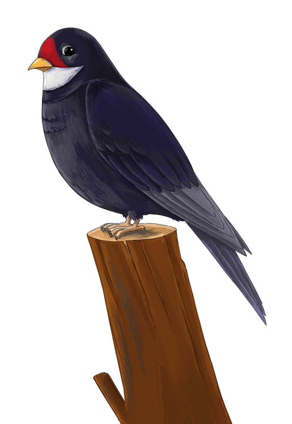cartoon fairy tale animal character - sitting cuckoo bird - illustration for children - Zdjęcie, obraz