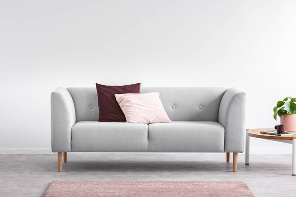 Purple and pastel pink pillow on the grey comfortable couch in bright living room interior with pink carpet and coffee table, real photo with copy space on the empty white wall - Фото, изображение