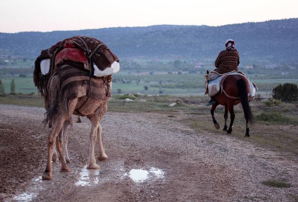 nomadic people with animals - Photo, Image
