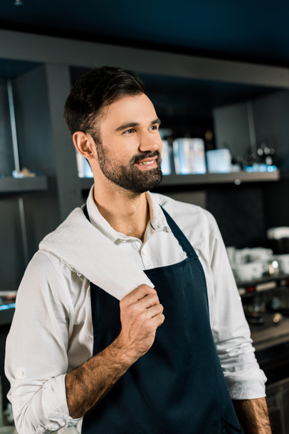 Handsome barman standing with white napkin in bar  - Foto, imagen