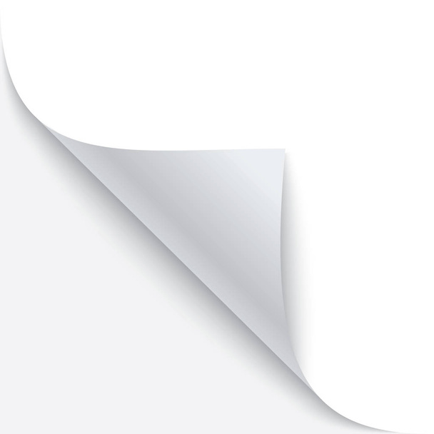 Rincón de papel rizado con sombra. Ilustración vectorial
 - Vector, imagen
