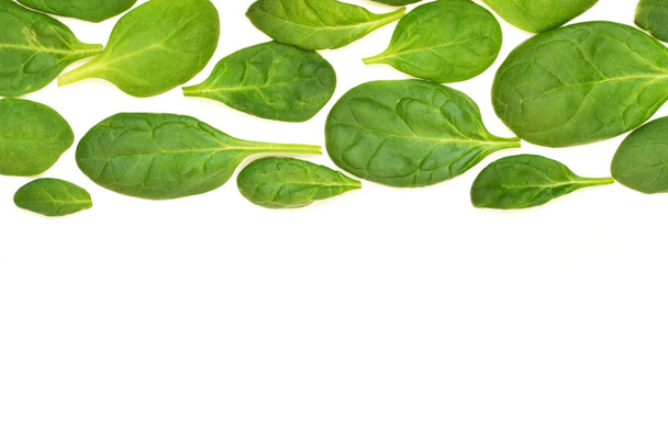 Spinach leaves. Fresh Green spinach isolated on a white background - Foto, imagen