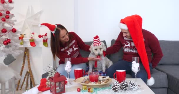 Happy couple with dog, all in Christmas clothes sitting near Christmas tree - Кадри, відео