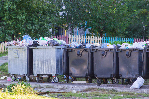 Sans-abri près des poubelles
, - Photo, image