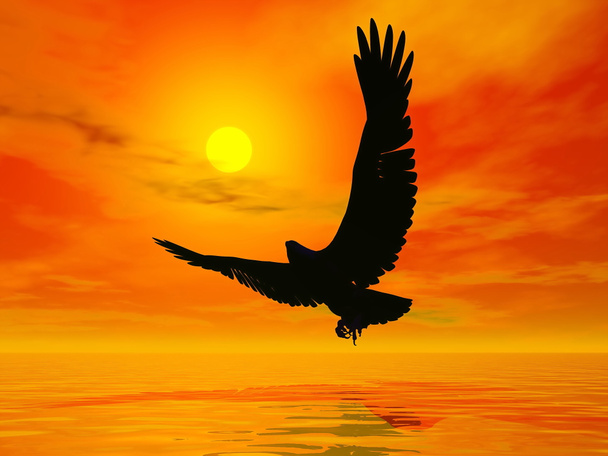 Águila al atardecer - 3D render
 - Foto, Imagen