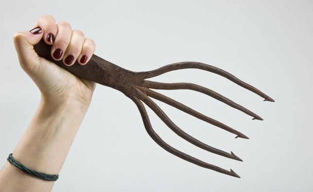 female hand holding old metal rake - Фото, зображення