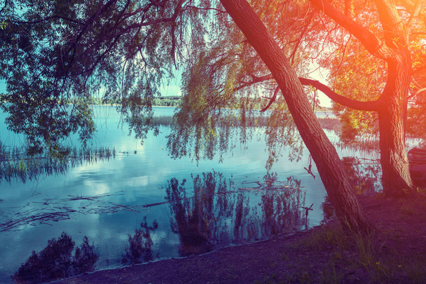 Göl kıyısındaki pembe gündoğumu, sudaki yansıması ile. Sonbaharın güzel doğa - Fotoğraf, Görsel