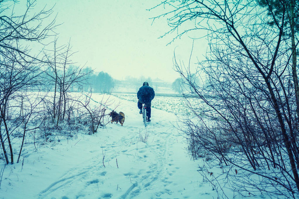 Man ride bicycle in snowy winter. Dog running nearby - Photo, Image