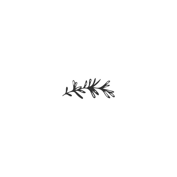 Vector hand drawn object. Kitchen logo element, a sprig of rosemary. - Vecteur, image