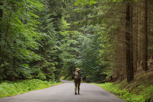 young  woman hiker walking on narrow road through summer green forest - Zdjęcie, obraz