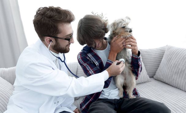 Loving owner with a Yorkshire terrier in the office of a veterinarian - Zdjęcie, obraz