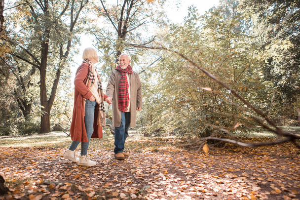 Ενθουσιασμένος ζευγάρι ηλικίας απολαμβάνοντας φρέσκο αέρα το φθινόπωρο - Φωτογραφία, εικόνα