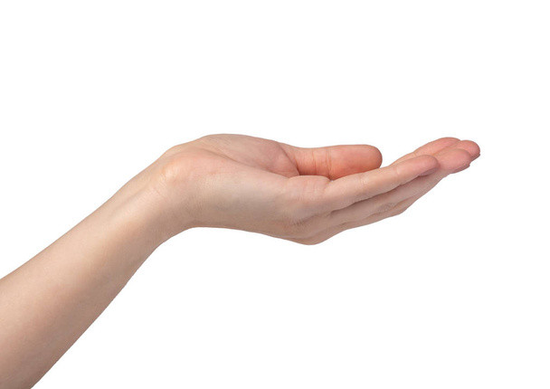 mano de mujer aislada en blanco
 - Foto, imagen