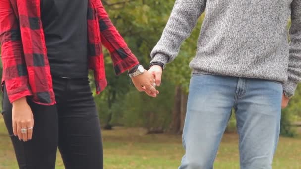 Pareja joven disfrutando del tiempo juntos tomados de la mano en el parque
 - Imágenes, Vídeo