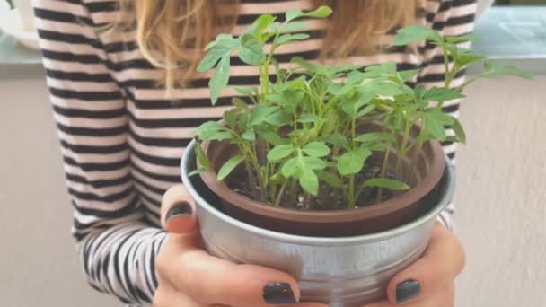 Mujer joven sosteniendo en las manos olla con plantas
 - Metraje, vídeo