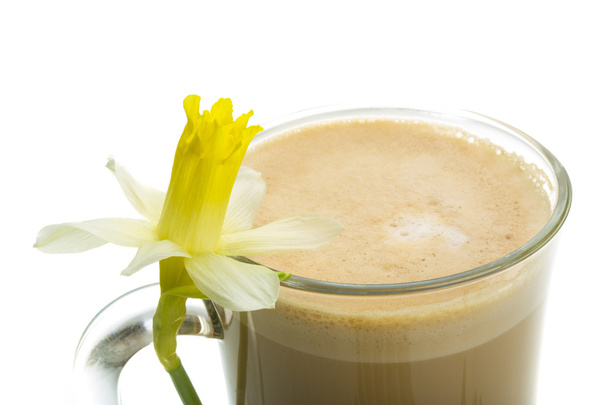 Кава Пізно з квіткою, м'ятою, анісом та корицею
 - Фото, зображення