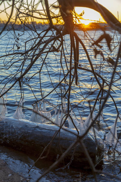ensimmäinen jää ruoho vedessä
 - Valokuva, kuva