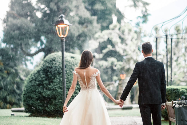 結婚式のカップルが雨の中公園でキス - 写真・画像