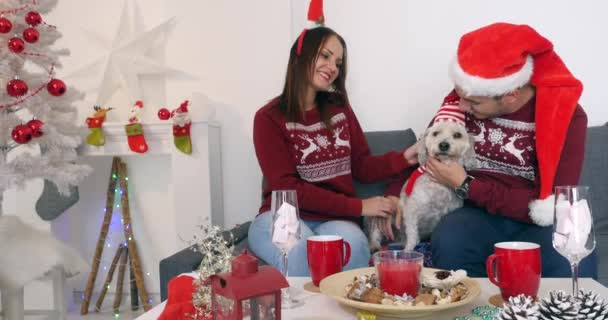 Happy couple with dog, all in Christmas clothes sitting on the sofa near Christmas tree - Imágenes, Vídeo