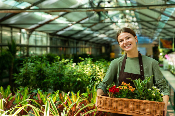 Image of joyous florist woman 20s wearing apron carrying basket with plants while working in greenhouse - Foto, afbeelding