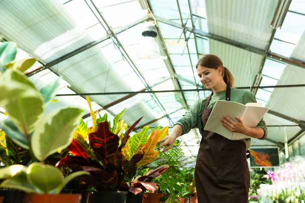 Image of young woman gardener studying or checking plants in conservatory with register in hands - Foto, imagen