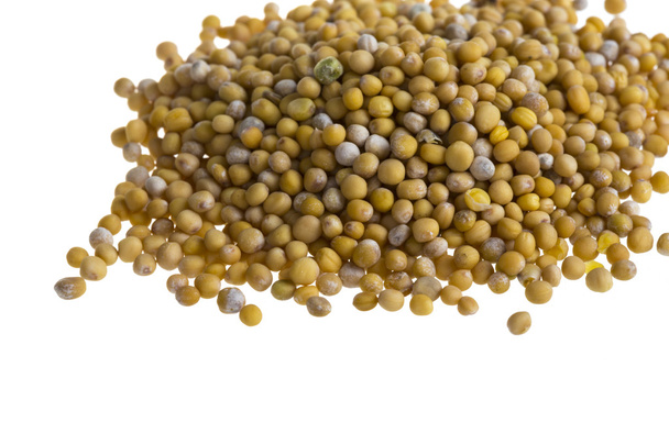жовті зерна гірчиці
 - Фото, зображення