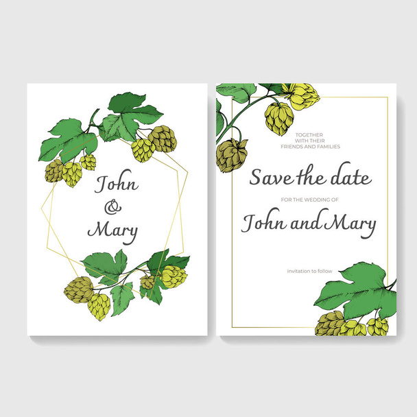 Green engraved humulus ink art. Green leaf. Vector Wedding background card. Save the date elegant card. - Vector, Image