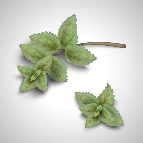 Top view of mint leaves in 3d illustration on light grey background - Vector, Image