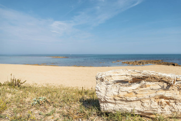 La spiaggia di Creta Rossa e la sua baia di Ostuni Salento
 - Foto, immagini