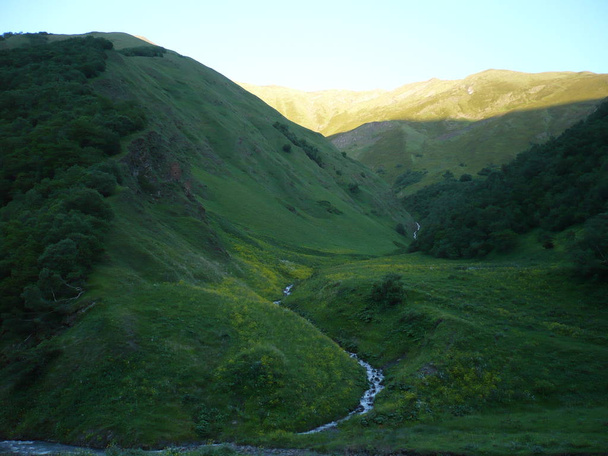 Hermosa vista del arroyo de montaña en verano. Montañas del Cáucaso
. - Foto, Imagen