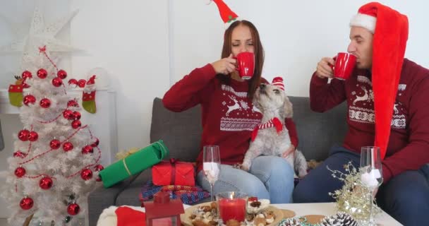 Happy couple with dog, all in Christmas clothes sitting near Christmas tree - Footage, Video