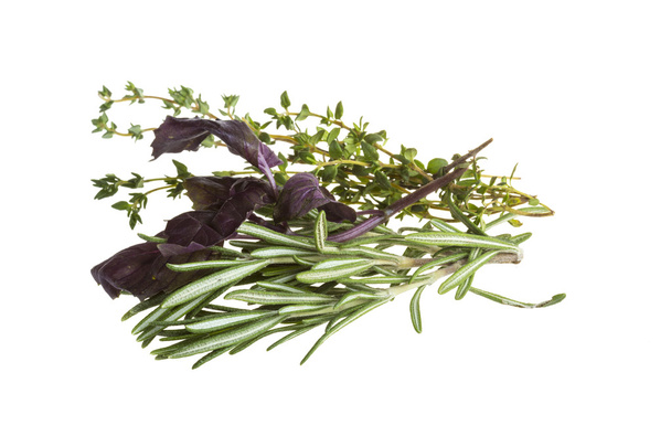 Herbs - Photo, Image