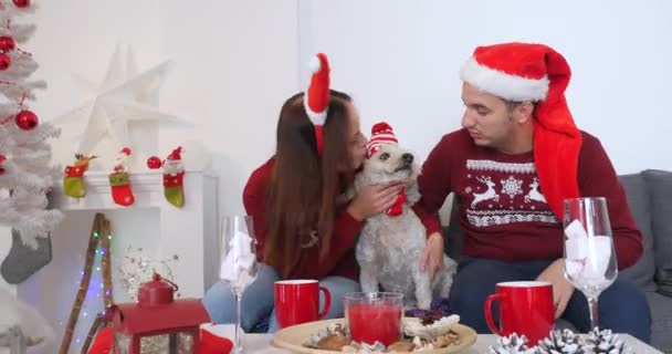 Happy couple with dog, all in Christmas clothes sitting near Christmas tree - Imágenes, Vídeo