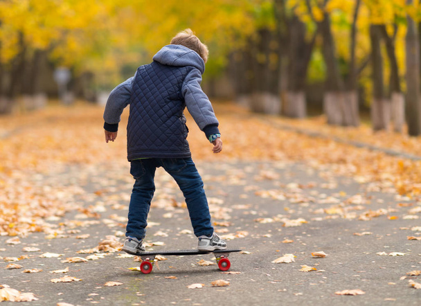 Young boy in grey jacket standing on the skateboard viewed full-length from his back in park walkway covered with yellow leaves - Foto, Bild