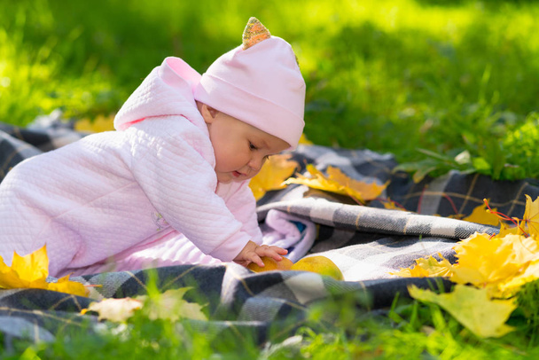 Cute little baby girl playing in an autumn park crawling on a rug in the grass touching colorful yellow leaves and fresh apples - Foto, imagen