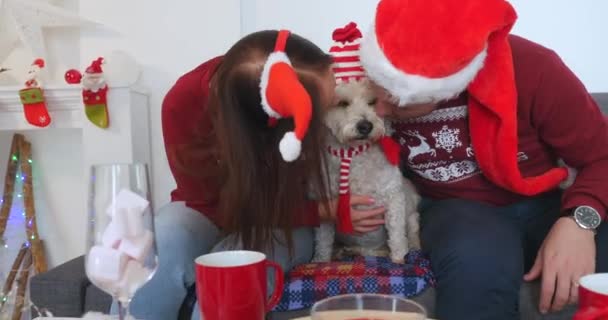 Happy couple with dog, all in Christmas clothes sitting near Christmas tree - Кадри, відео