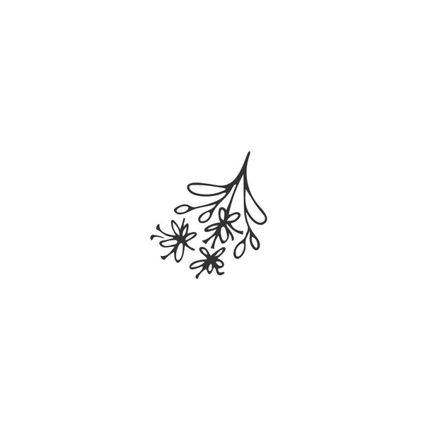 Kitchen logo element, linden blossom. Vector hand drawn object. - Вектор,изображение