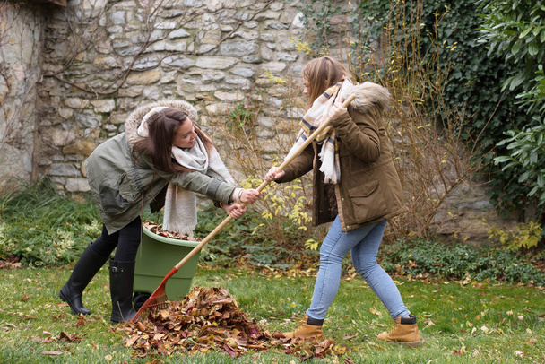 Αδελφές έχουν διασκέδαση ενώ κάνει φθινόπωρο στον κήπο έργα - Φωτογραφία, εικόνα