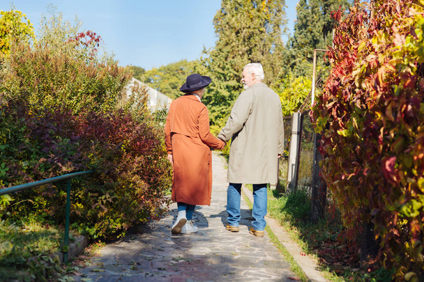 Nice pleasant aged couple going home together - Фото, зображення