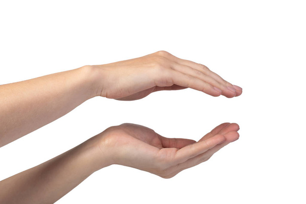 mano de mujer aislada en blanco
 - Foto, Imagen