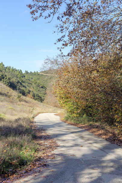 Egy keskeny, vidéki út a hegyekben az őszi napsütésben (Görögország, Peloponnészosz). - Fotó, kép