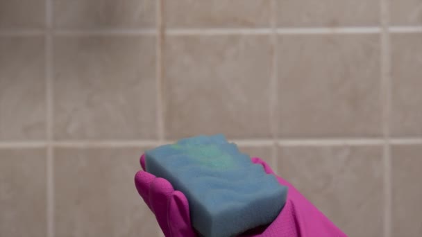 Close-up shot van het gieten van de huishoudelijke chemicaliën aan de spons voor het reinigen van het huis, commerciële van huishoudelijke chemicaliën, schoonmaken van het huis, modder en stof - Video