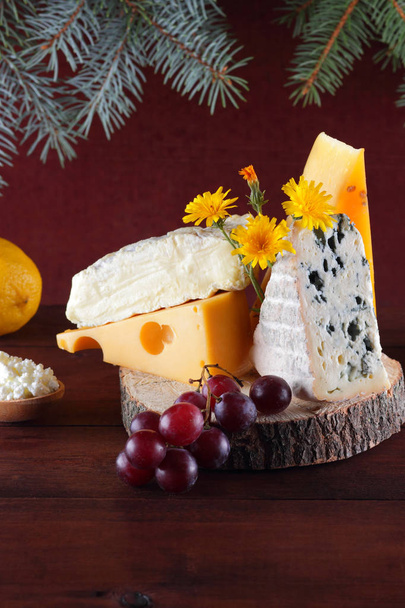 Assortment of cheeses on wooden background and Christmas tree branches. Swiss cheese, dorblu, camembert and cottage cheese for Christmas. Dairy products, lemon, grapes and pear on wooden boards - Photo, image