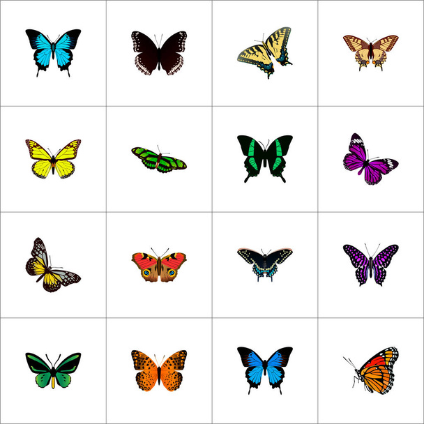 Set von realistischen Schmetterlingssymbolen mit Hypolimnas, Polyommatus icarus, Gewürzbürste und anderen Symbolen für Ihr Webdesign für mobile Apps. - Foto, Bild