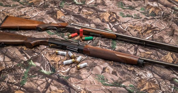two shotguns of 16 and 12 gauge and cartridges on camouflage background - 写真・画像