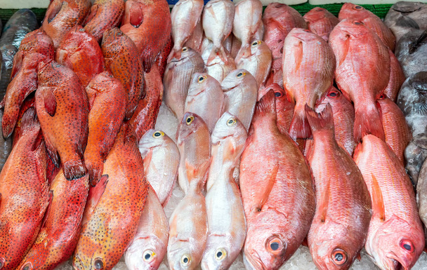 Red snapper and red mullet for sale at a market - Photo, Image