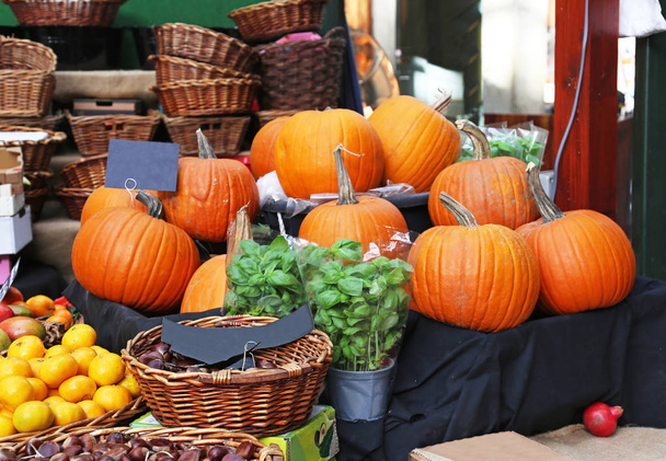 Halloween pumpkins and other fruits at the Borough market in London city United Kingdom - Photo, Image