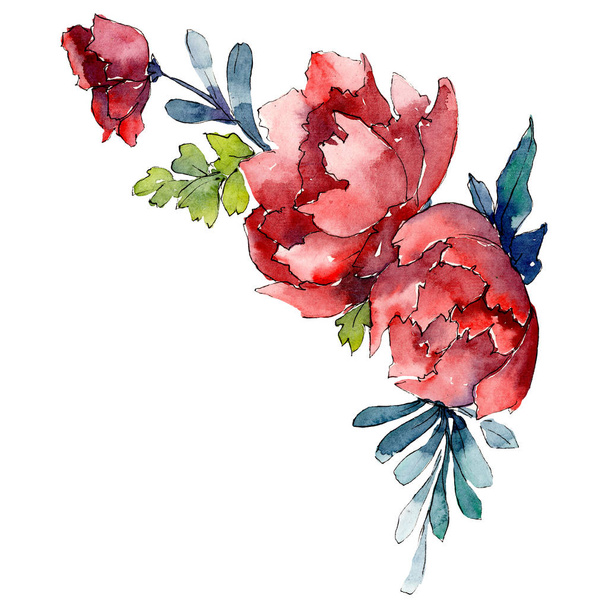 Red flowers. Isolated flower illustration element. Background illustration set. Watercolour drawing aquarelle bouquet. - Photo, Image